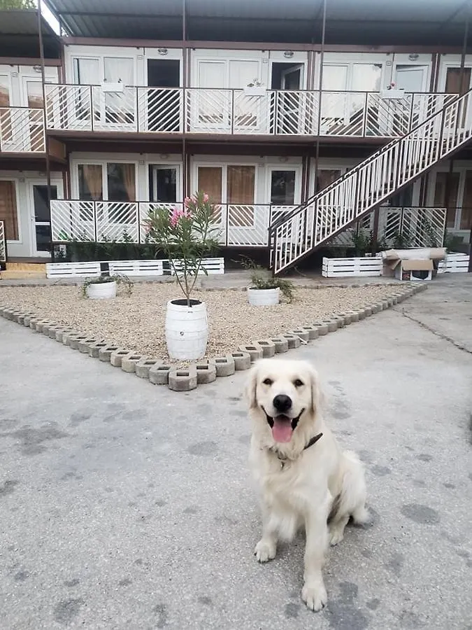 Conti Complex Apartment Golden Sands